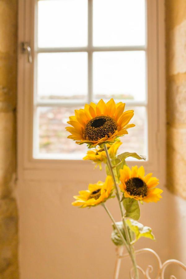 Au Coeur De Beynac, Une Maison De Caractere Avec Jardin Terrasse Exteriör bild